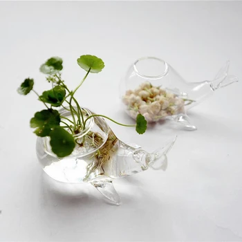 Radošā Stikla Vāze Hidroponiskas Ziedu Vaļu Gaļu Vairāk Sūnu Mikro Ainavu Vāze Puķu Pods Galda Vāze Bezmaksas Piegāde Jaunas
