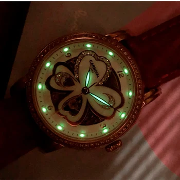 Reloj Mujer KARNEVĀLS Zīmolu Sieviešu Mehāniskās Skatīties Dāmas Luksusa Modes Ūdensnecaurlaidīgs Gaismas Sapphire Kristāla Automātiskie Pulksteņi