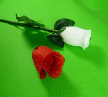 Rožu Reģenerācijas Magnētisko Ziedu Reappearing Burvju Triki Labākajiem Skatuves, Šķiet, Izgaist Magia Ilūzijas Veidojums Aksesuārus Komēdija