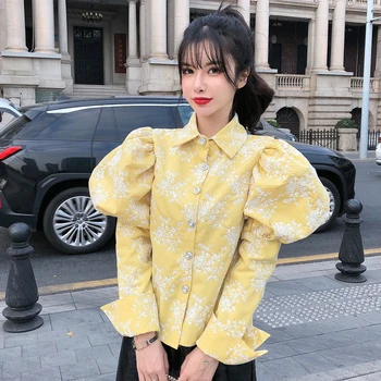 Rudens Sievietēm Eleganto Mežģīņu Krekls ar garām Piedurknēm korejiešu Stilā, Retro Modes Topi, T-kreklu Princess Palace Izšuvumi Vintage Blūze