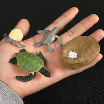 Simulācijas Darbības Rādītāji Dzīvnieku Evolūcijas Modeļiem Jūras bruņurupucis Bruņurupuču Dzīves Cikla plastmasas Modeli Dzīvnieku Augšanas Cikls Bērniem Rotaļlietas