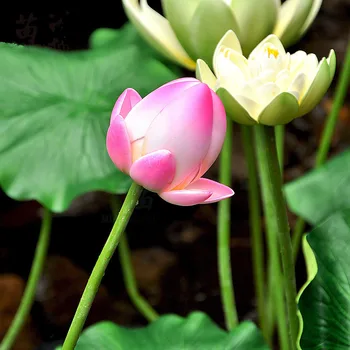 Simulācijas PVC mākslīgā lotus leaf lotosa ziedu Budas ūdens lilija apdare, augi, ziedu, baseinu, ainavu, dārzu dekorēšana
