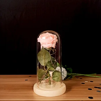 Skaisti Mūžīgā Roze Eternelle LED Gaismas Skaistuma Un Zvērs Pieauga Stikla Kupola Mātes Dzimšanas dienu, Valentīna Dienas Dāvanu
