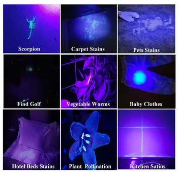 Super Spilgti 100 LED 395nm UV Blacklight Lukturi Ultravioleto Lāpu Gaismiņu Detektors Pet Urīna Home & Hotel Pārbaudes