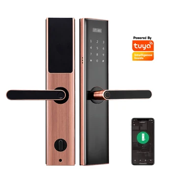 Tuya App Elektronisko Biometrijas Smart Lock Luksusa Nerūsējošā Tērauda pirkstu Nospiedumu Digitālo Paroli RFID Karte, Durvju slēdzenes Home Security