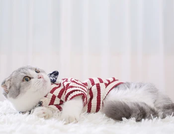 Valkāt Piederumi Kaķu Atbilstu Drēbes Pet Cat Stuff Ziemas Jaka Pet Kostīmu Kaķēns Drēbes Ropa Invierno Modes Apģērbu JJ60MWT