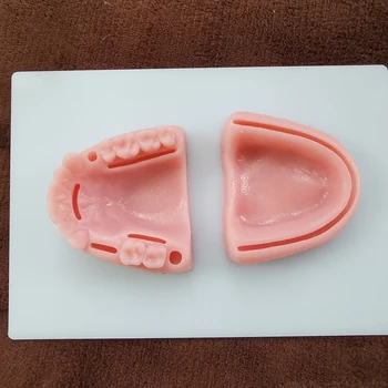 Zobu Mutes dobuma/Gumija šūšanas apmācības modulis silikona periodontīta šuvju modelis