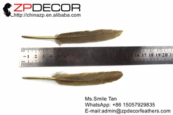 ZPDECOR 10-15 cm(4-6inch) 100pieces Rūpīgi Izstrādāts Zelta Metāla Strūklas Pīļu Spalvu REMONTDARBOS un Carinival Apdare Spalvas